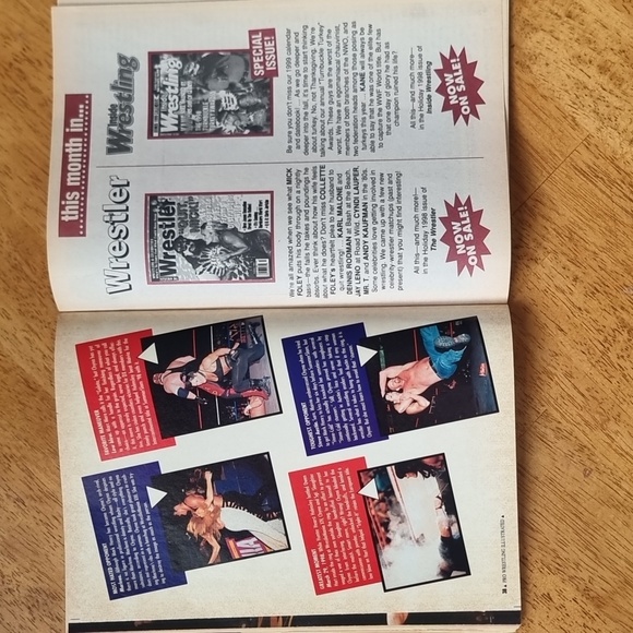 Pro Wrestling Illustrated PWI Magazine Jan 1999 Ultimate Warrior W Poster - Picture 5 of 5